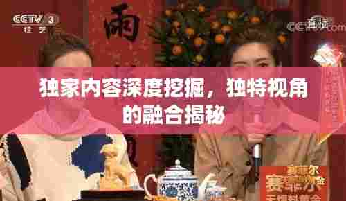 独家内容深度挖掘,独特视角的融合揭秘