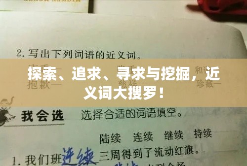 探索、追求、寻求与挖掘,近义词大搜罗!