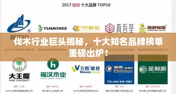 伐木行业巨头揭秘,十大知名品牌榜单重磅出炉!