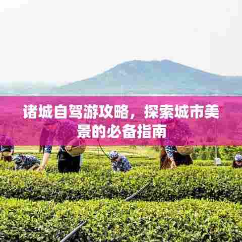 诸城自驾游攻略,探索城市美景的必备指南