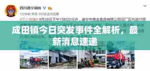 成田镇今日突发事件全解析,最新消息速递