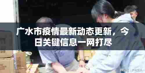 广水市疫情最新动态更新,今日关键信息一网打尽