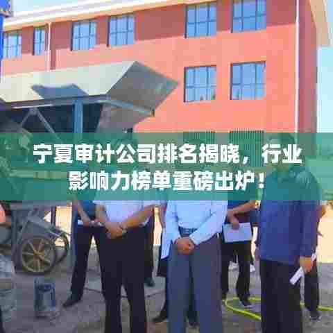 精耕细作 第4页