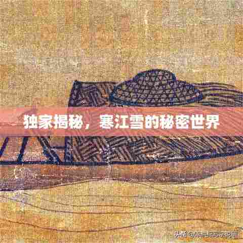 独家揭秘,寒江雪的秘密世界
