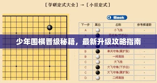 少年围棋晋级秘籍,最新升级攻略指南