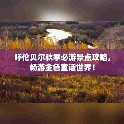 呼伦贝尔秋季必游景点攻略,畅游金色童话世界!