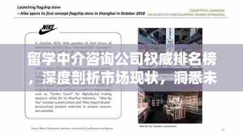 留学中介咨询公司权威排名榜,深度剖析市场现状,洞悉未来发展趋势