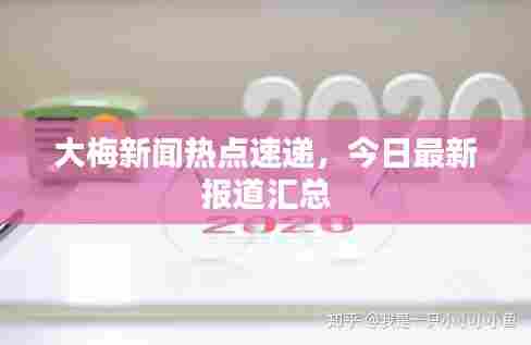 大梅新闻热点速递，今日最新报道汇总