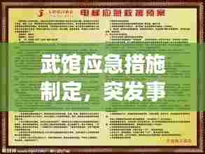 武馆应急措施制定,突发事件的应对预案