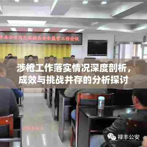 涉枪工作落实情况深度剖析，成效与挑战并存的分析探讨