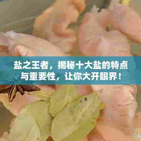 盐之王者,揭秘十大盐的特点与重要性,让你大开眼界!