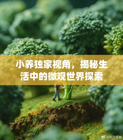 小养独家视角,揭秘生活中的微观世界探索