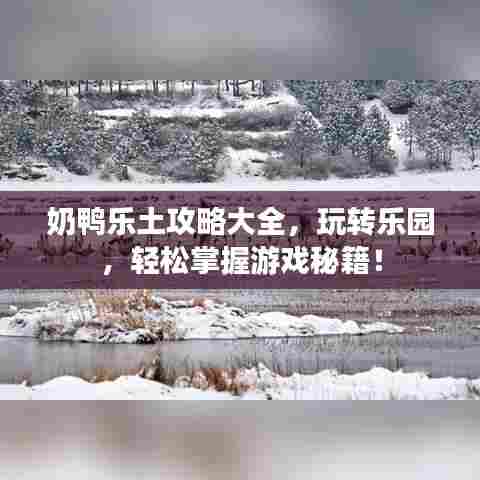 奶鸭乐土攻略大全,玩转乐园,轻松掌握游戏秘籍!