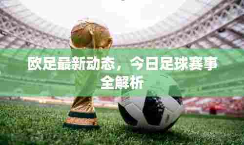 欧足最新动态，今日足球赛事全解析