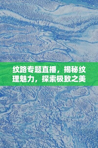 纹路专题直播,揭秘纹理魅力,探索极致之美