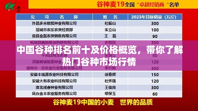 中国谷种排名前十及价格概览,带你了解热门谷种市场行情
