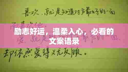 励志好运,温柔入心,必看的文案语录