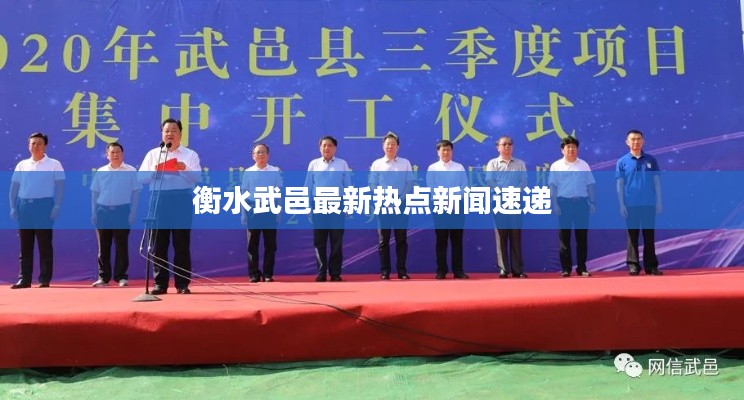 衡水武邑最新热点新闻速递
