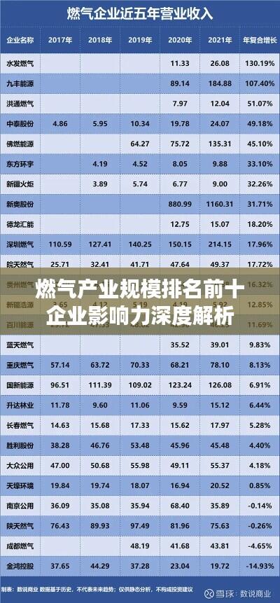 燃气产业规模排名前十企业影响力深度解析