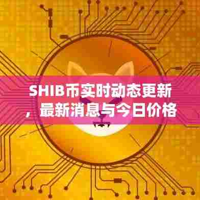 SHIB币实时动态更新，最新消息与今日价格一览