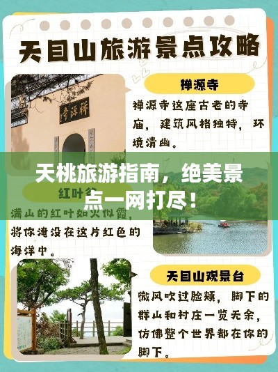 天桃旅游指南,绝美景点一网打尽!