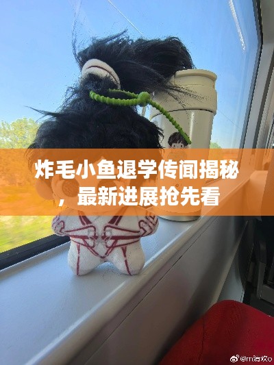 炸毛小鱼退学传闻揭秘,最新进展抢先看