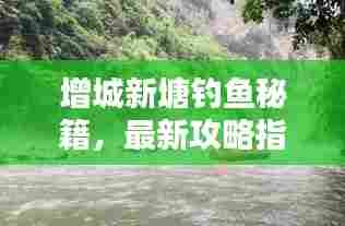 增城新塘钓鱼秘籍,最新攻略指南来袭!