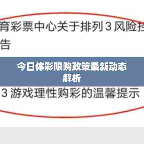 今日体彩限购政策最新动态解析