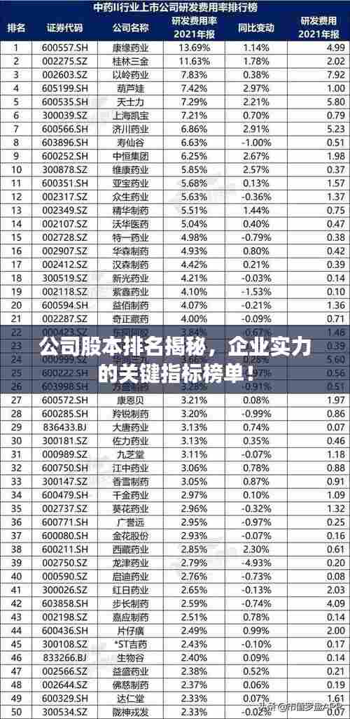 公司股本排名揭秘，企业实力的关键指标榜单！