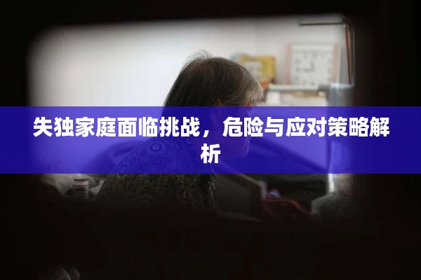 失独家庭面临挑战,危险与应对策略解析