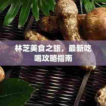 林芝美食之旅,最新吃喝攻略指南