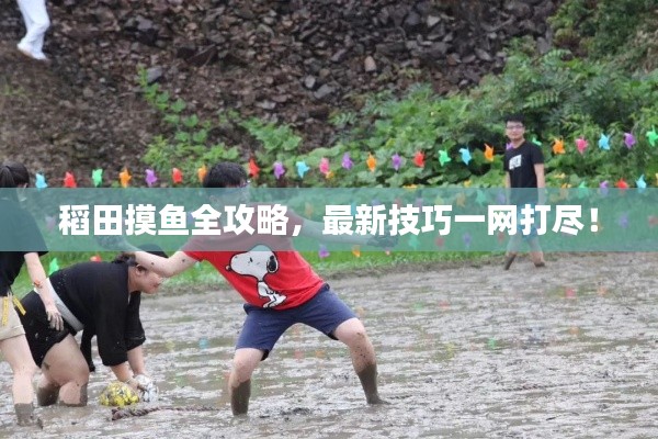 稻田摸鱼全攻略,最新技巧一网打尽!
