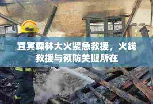 宜宾森林大火紧急救援,火线救援与预防关键所在