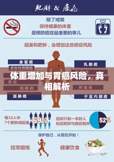 体重增加与胃癌风险,真相解析