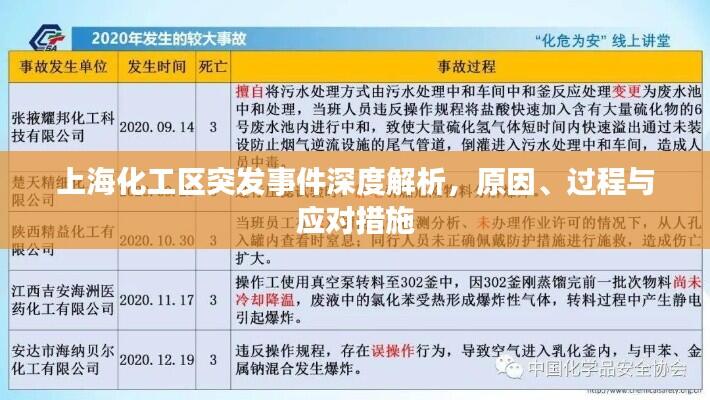 上海化工区突发事件深度解析，原因、过程与应对措施