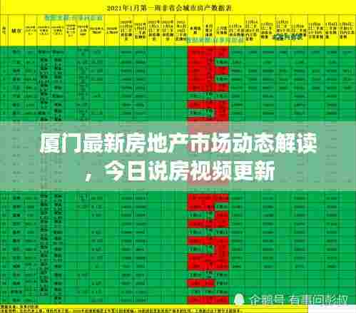 厦门最新房地产市场动态解读，今日说房视频更新