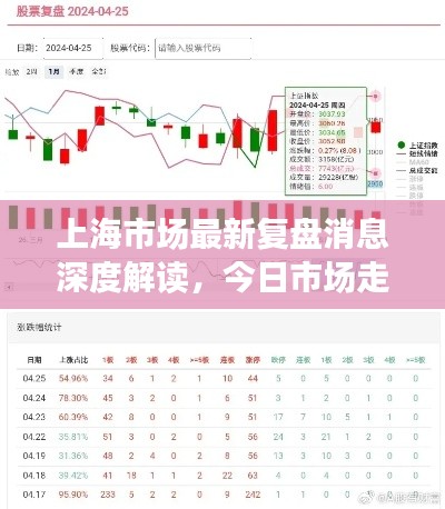 上海市场最新复盘消息深度解读，今日市场走势一网打尽