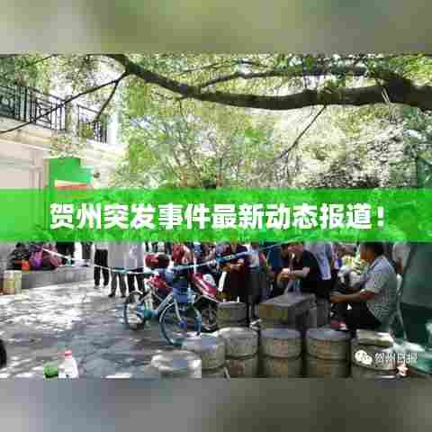 贺州突发事件最新动态报道!
