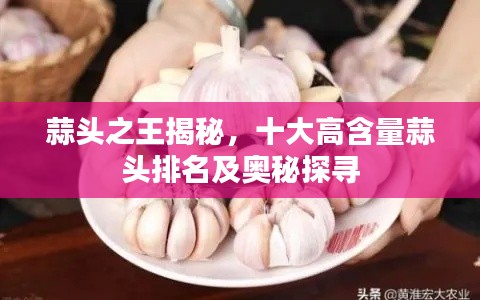 蒜头之王揭秘,十大高含量蒜头排名及奥秘探寻