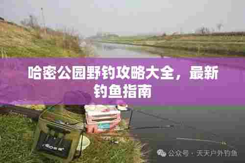 哈密公园野钓攻略大全,最新钓鱼指南