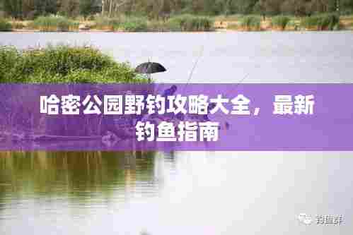 哈密公园野钓攻略大全,最新钓鱼指南
