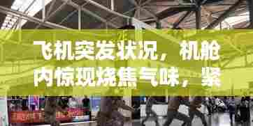 飞机突发状况,机舱内惊现烧焦气味,紧急应对时刻!