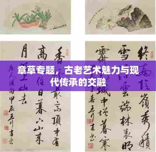 章草专题,古老艺术魅力与现代传承的交融