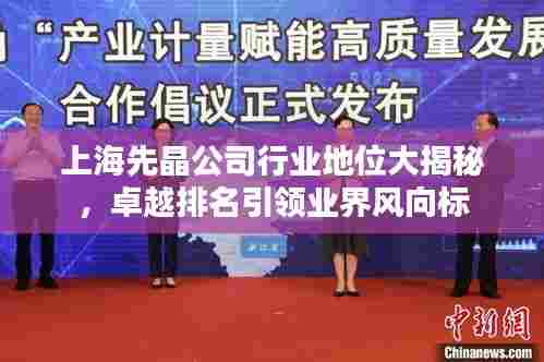 上海先晶公司行业地位大揭秘,卓越排名引领业界风向标