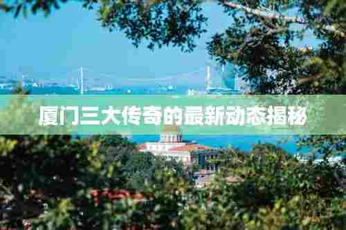 厦门三大传奇的最新动态揭秘