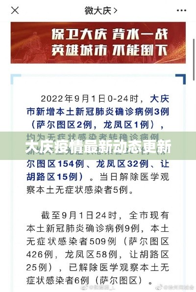 大庆疫情最新动态更新