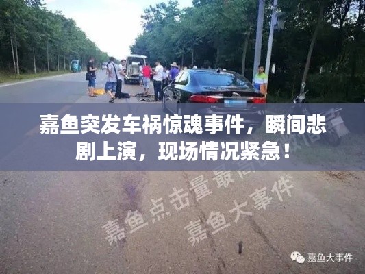 嘉鱼突发车祸惊魂事件,瞬间悲剧上演,现场情况紧急!