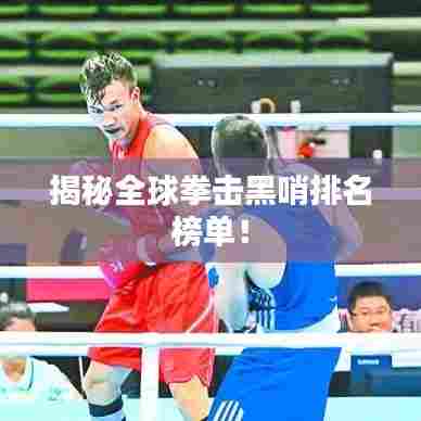 揭秘全球拳击黑哨排名榜单!