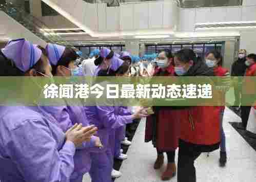 徐闻港今日最新动态速递