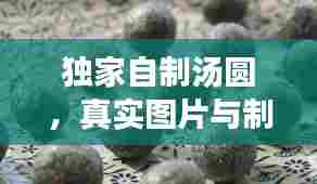 独家自制汤圆,真实图片与制作教程分享